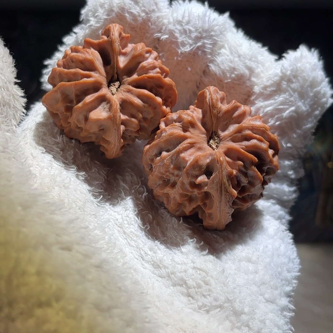 ****Y吊坠文玩核桃极品川字纹酒杯底大龙