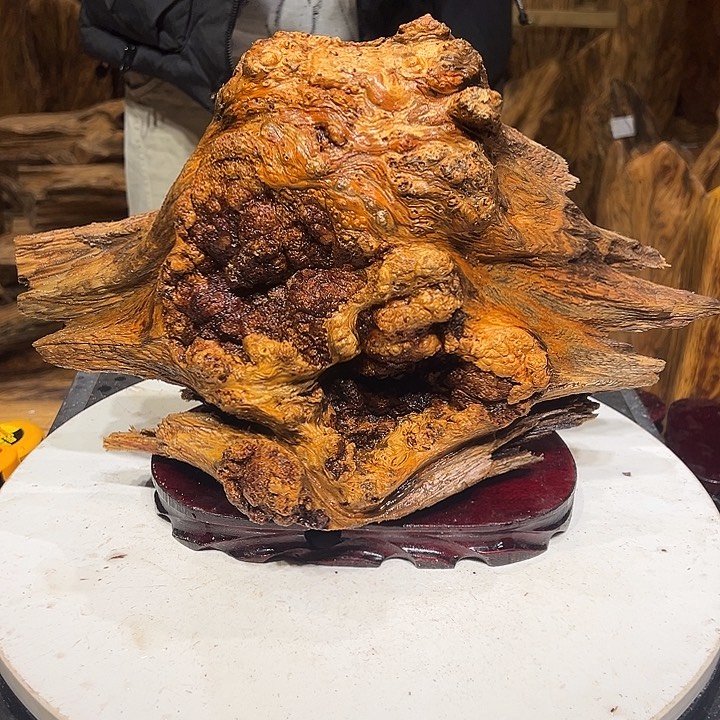 松木（琥珀木）向**福