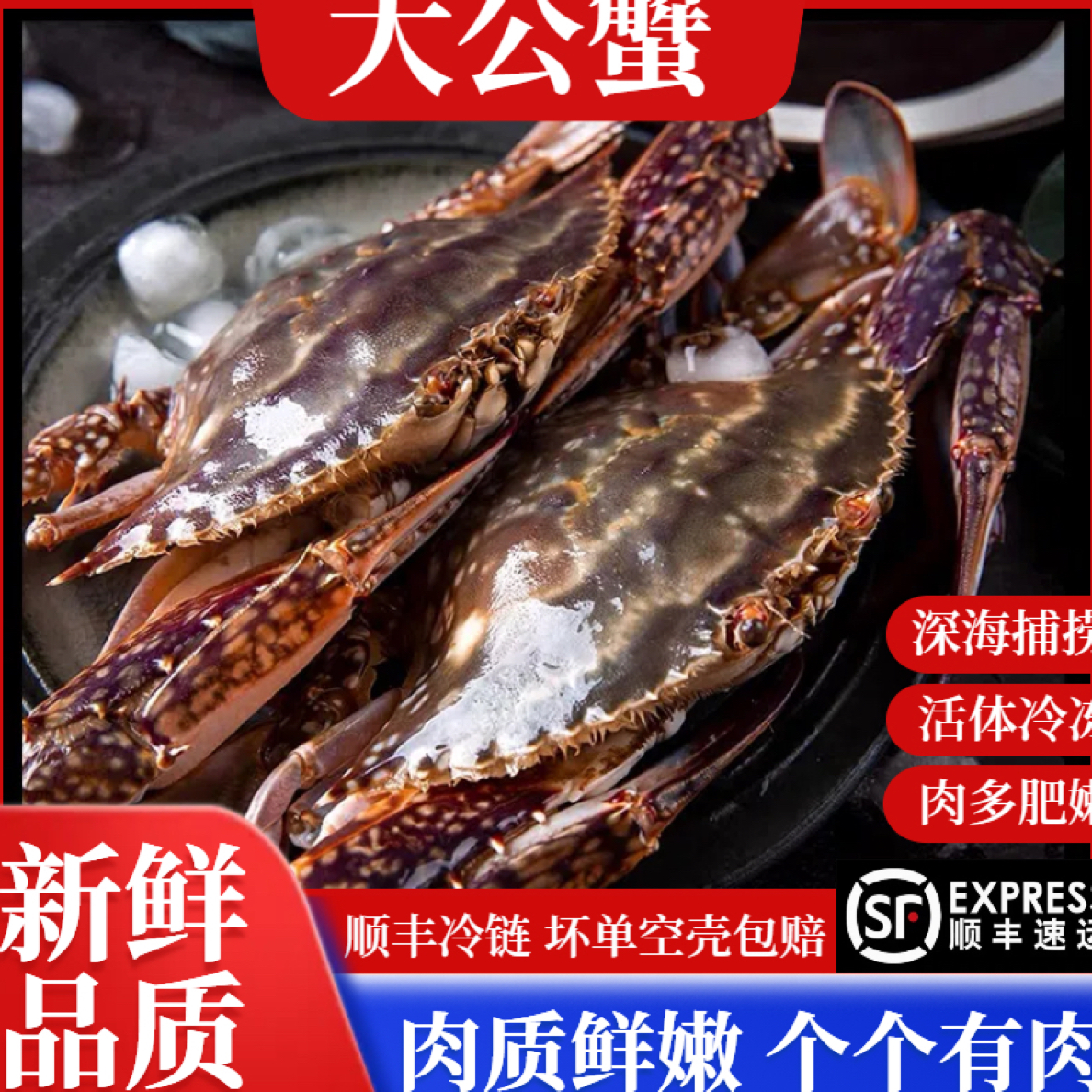 【冻蟹】宁波石浦梭子蟹3斤4只左右7两左右（不可清蒸）