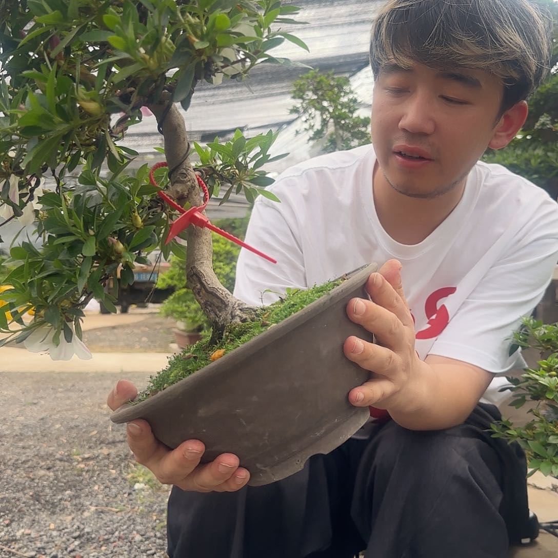 脑*呢花卉苗木花卉苗木