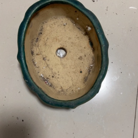 杰*z c z c z c z c x x