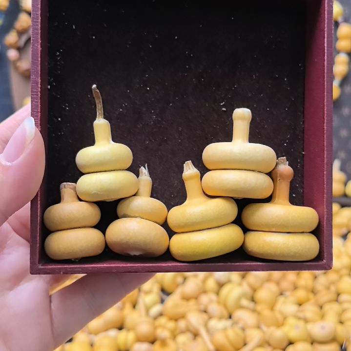 上下扁！上下扁！！！！