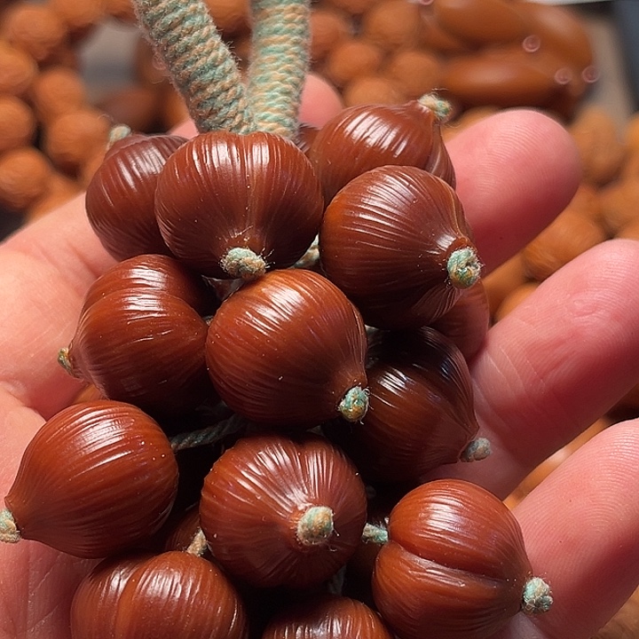 橄榄核手串葡萄串羽化屁桃