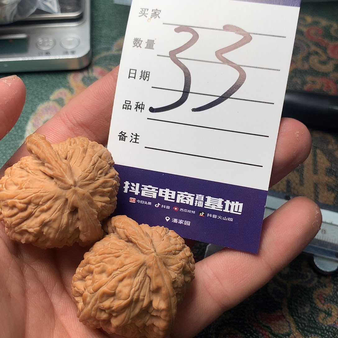 文玩核桃把件白狮子