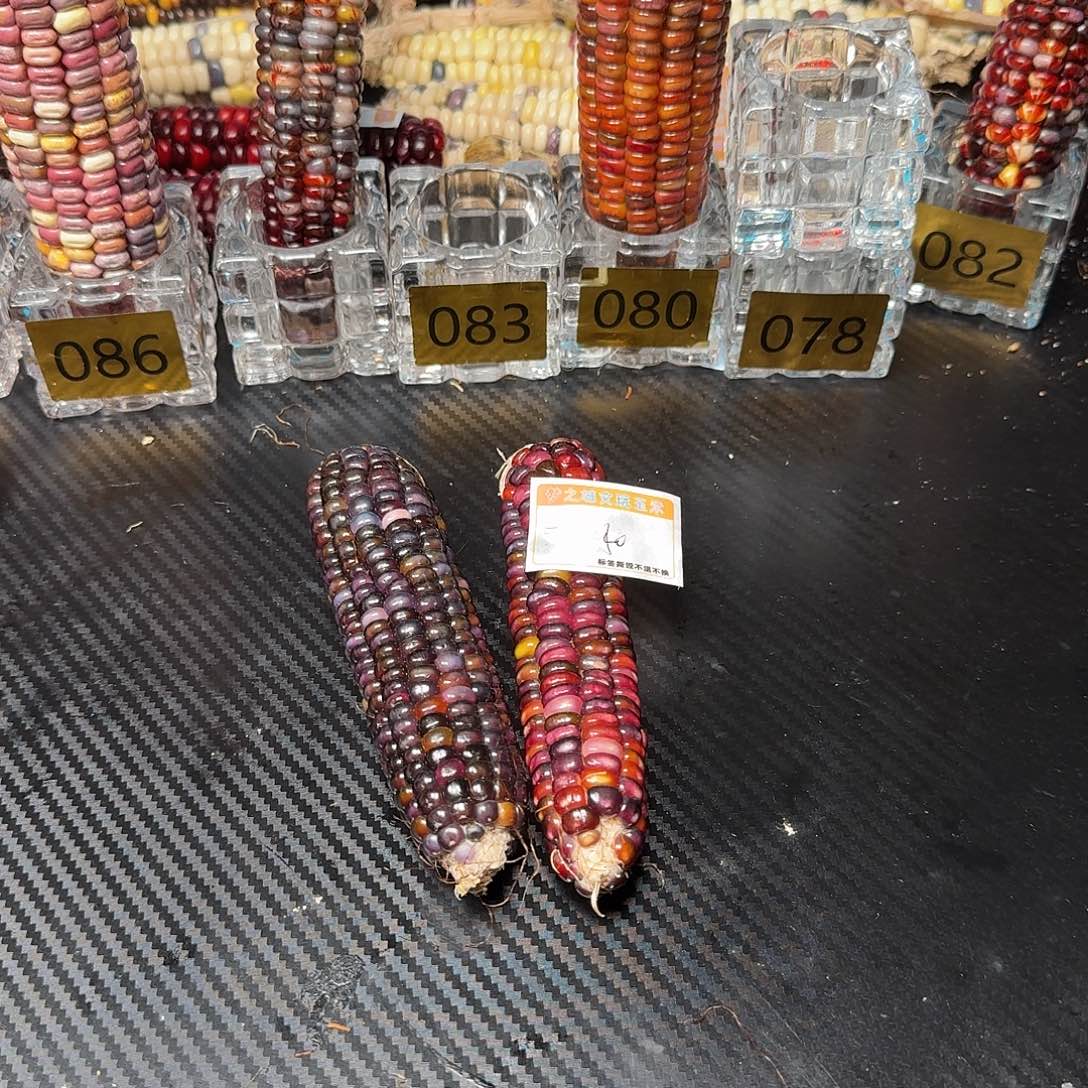 锅***右大叶紫檀（黑酸枝木类）