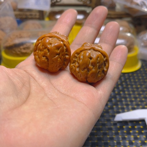 文玩核桃吊坠金蟾
