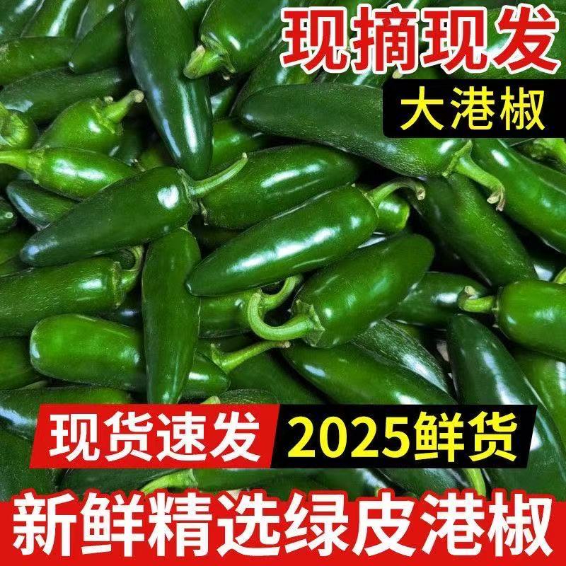 【二美专属】东北港椒香辣腌制辣椒咸菜肉厚港椒辣椒油辣椒