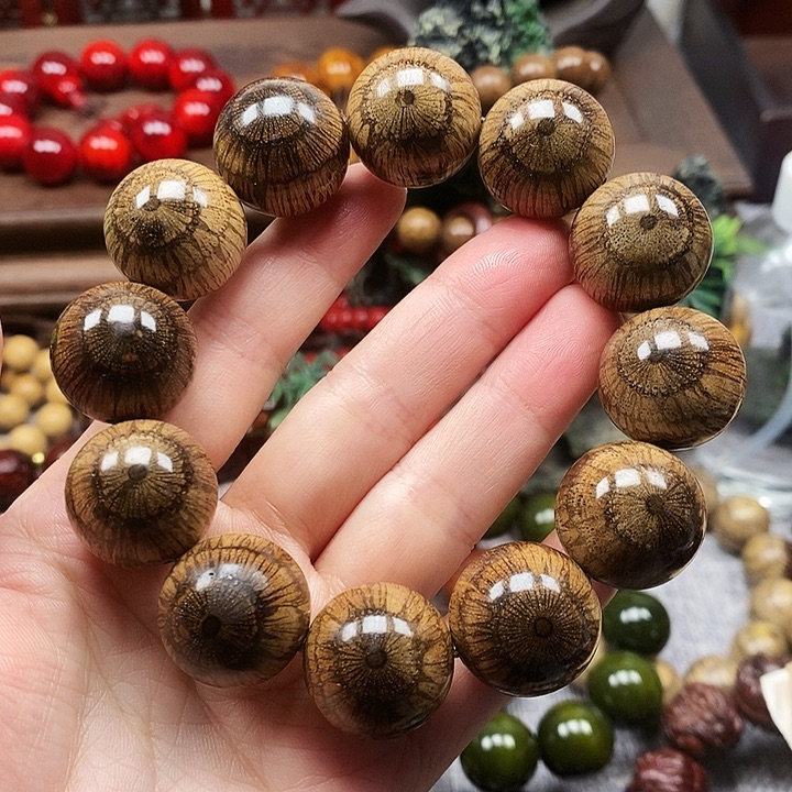 上***人手串/手链藤类买麻藤