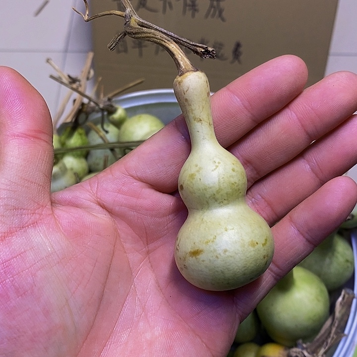 乒*迷长嘴哈哈哈哈哈哈哈哈哈哈好