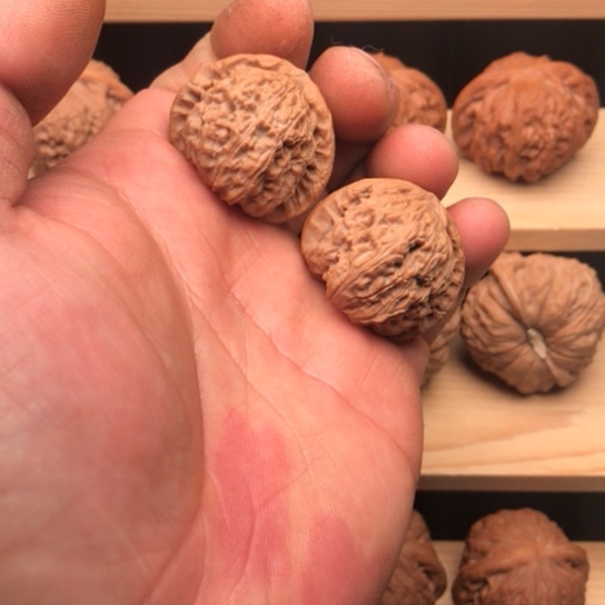 文玩核桃吊坠白狮子，粗愣子