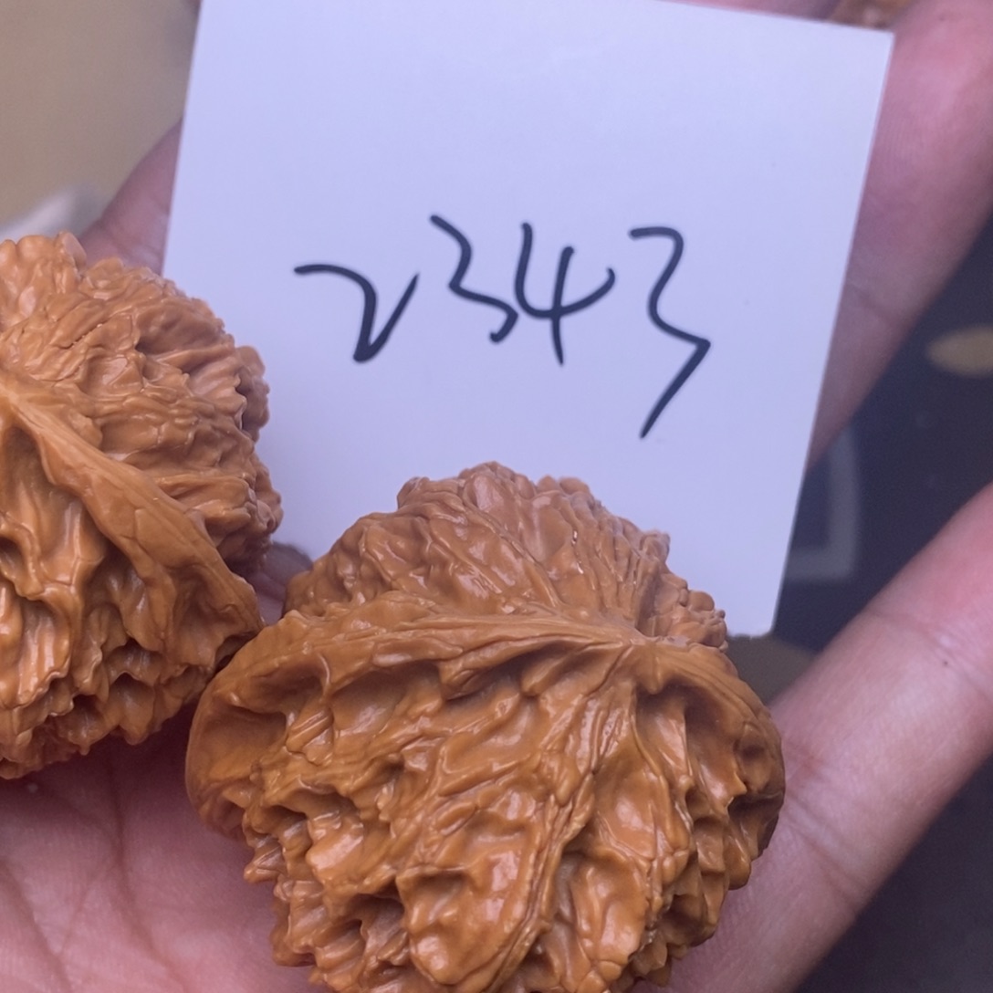 核桃苹果园尺寸42