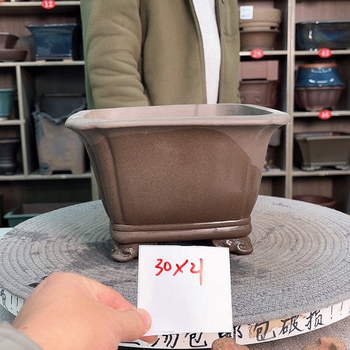 紫砂花盆紫砂的花也太