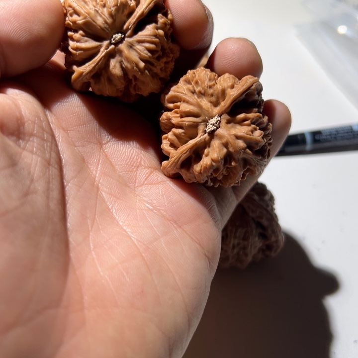 z***.把件文玩核桃粗筋