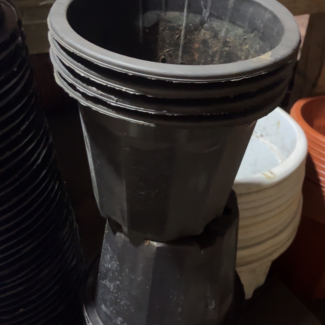 旧口径18高14黑砖盆20个