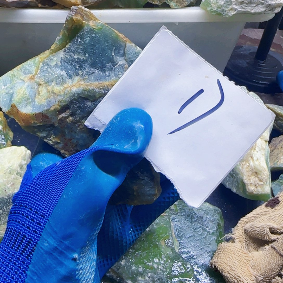 忘***天蛇纹石玉未镶嵌原石