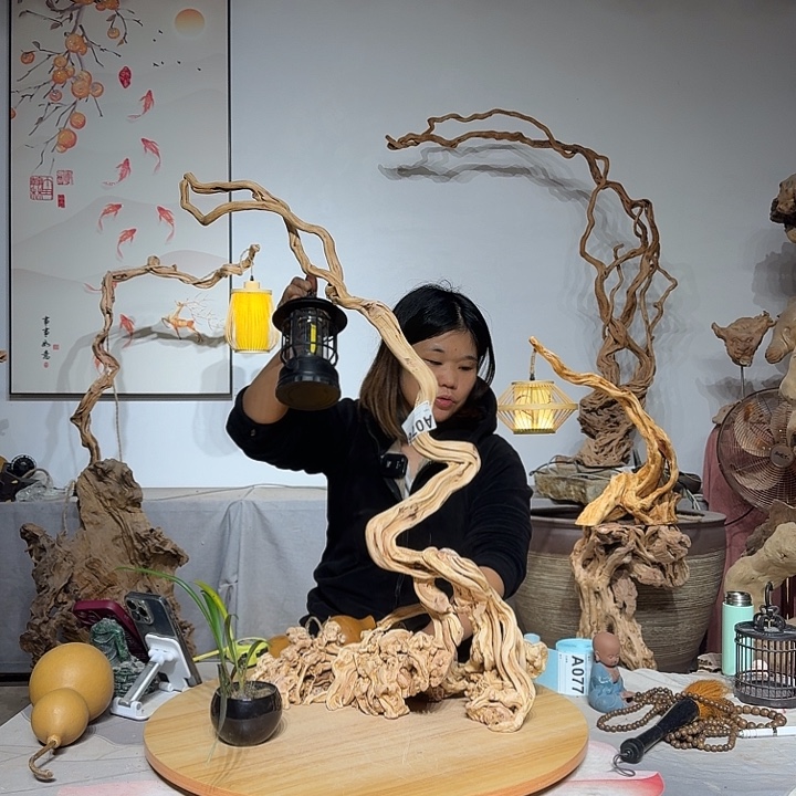闽***哥杜鹃根上挂有许多白色花朵或紫色