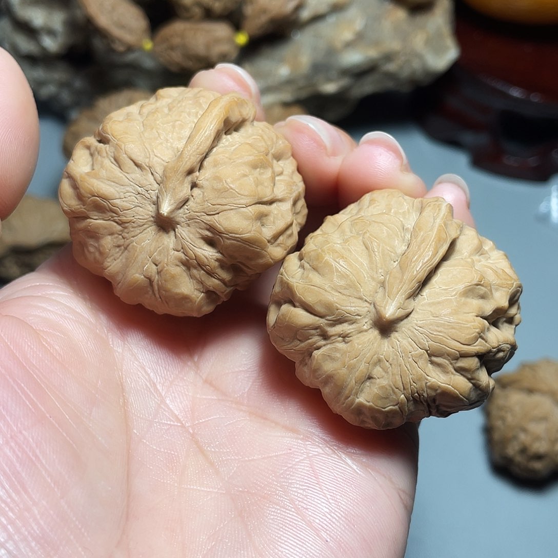 核桃手串/手链精品蛤蟆一帆风顺