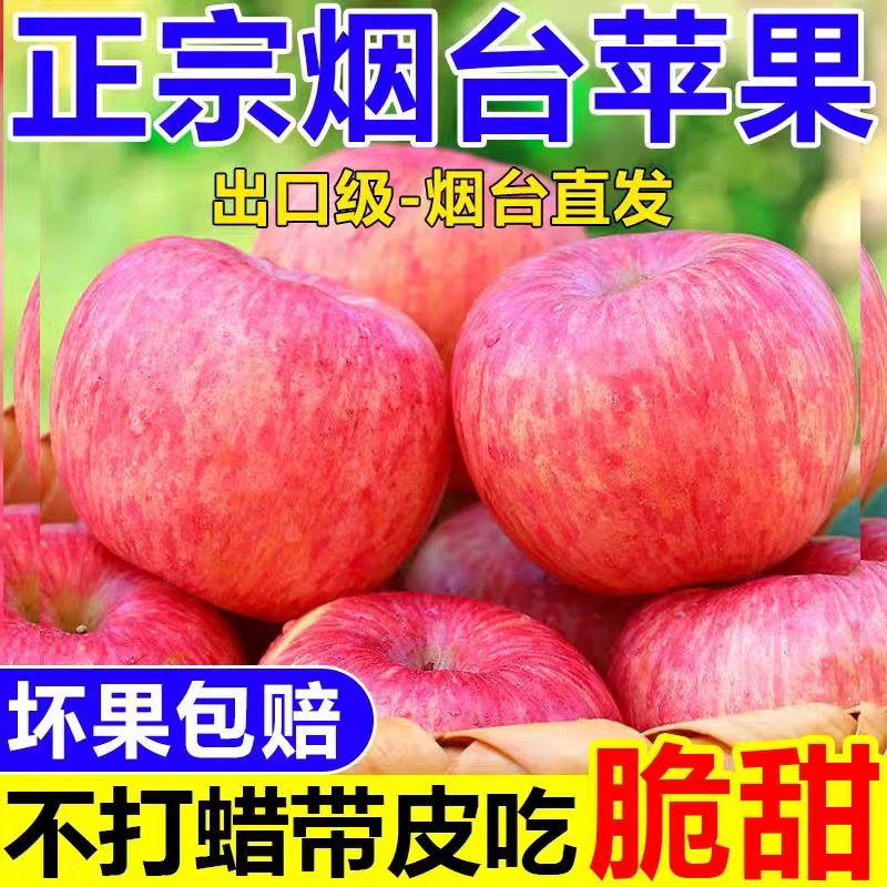 烟台红富士 脆甜可口 多汁营养 烟台三狗农贸出品 汁水脆嫩
