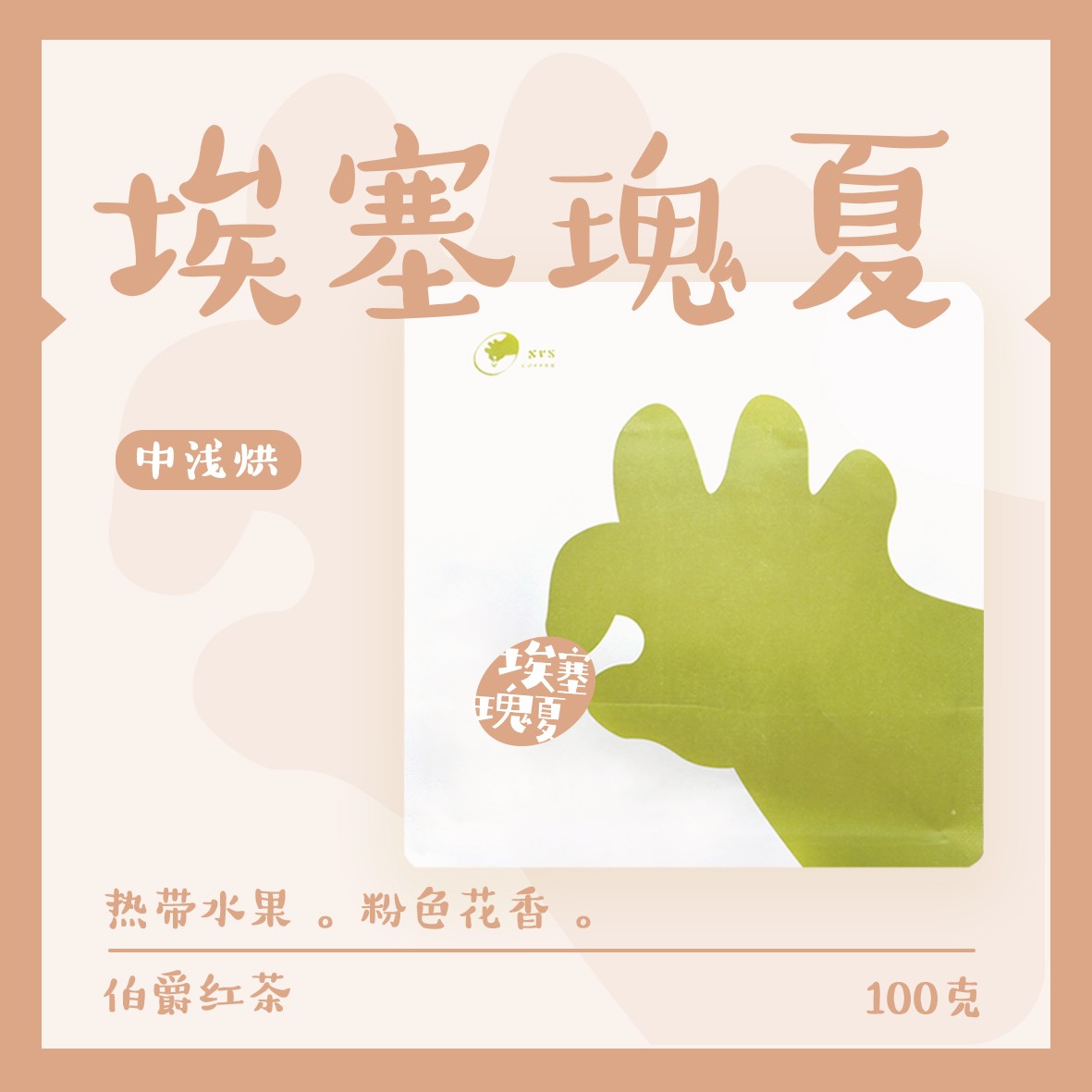 【新】埃塞 瑰夏  中浅烘 手冲咖啡豆
