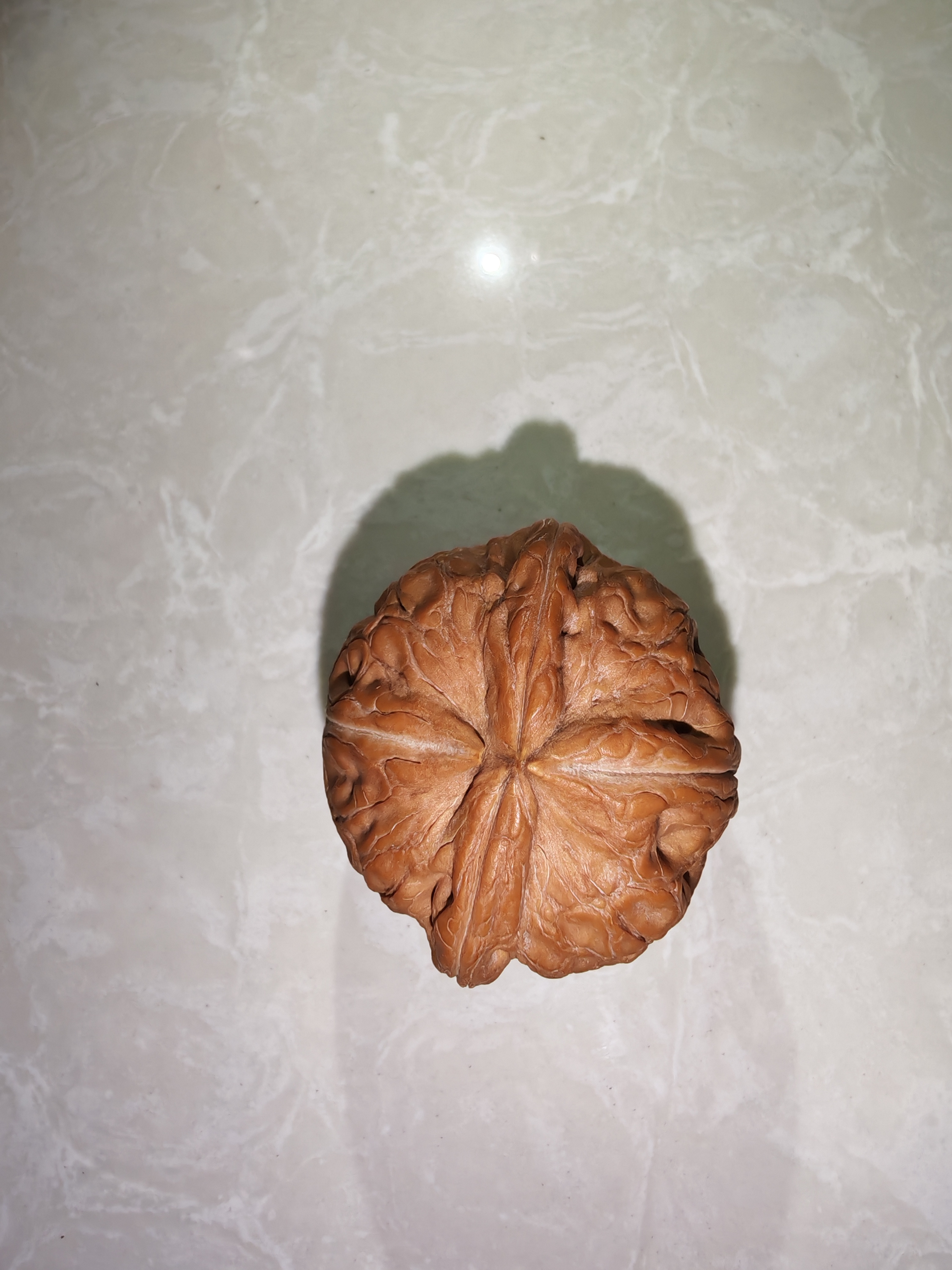 元宝三棱四棱文玩核桃，单只价格，直播间看货购买，售出不退不换