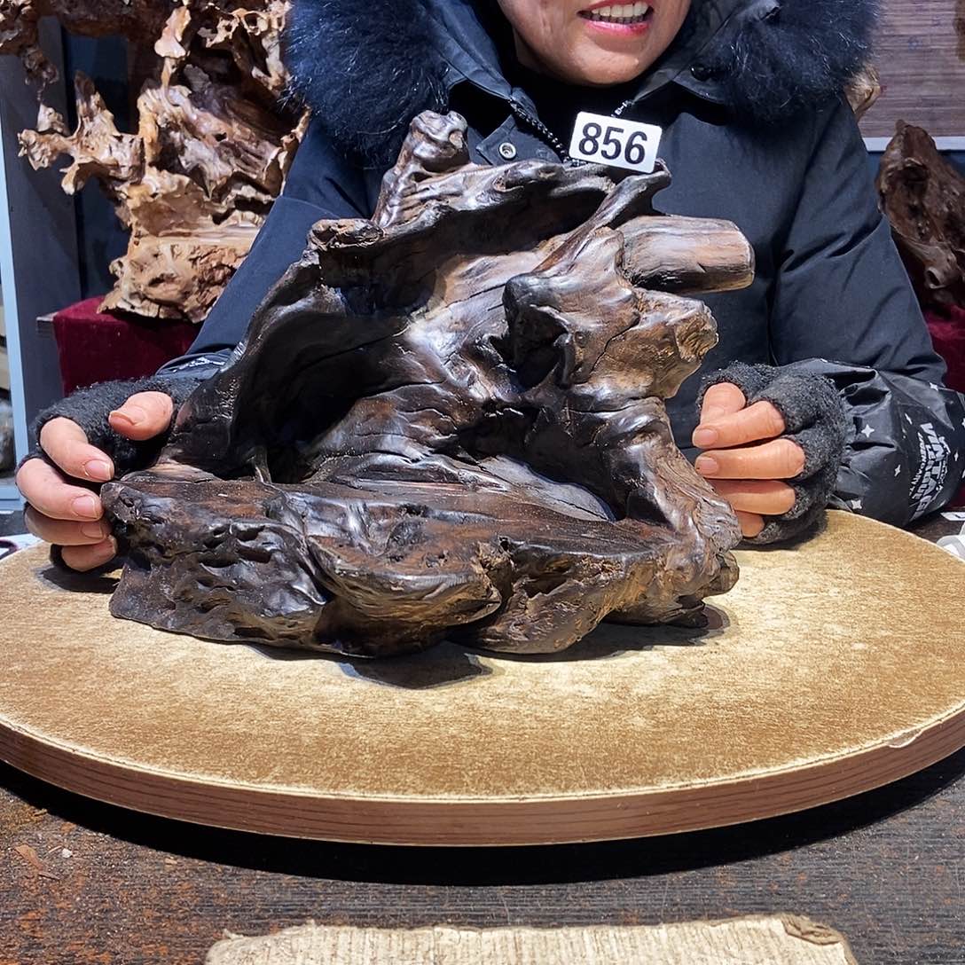 亮***制856。株木随行根艺