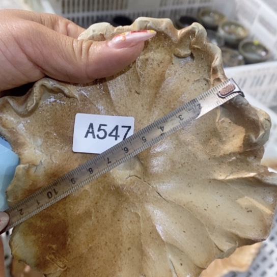 瑕疵福利福利好耶好喜欢