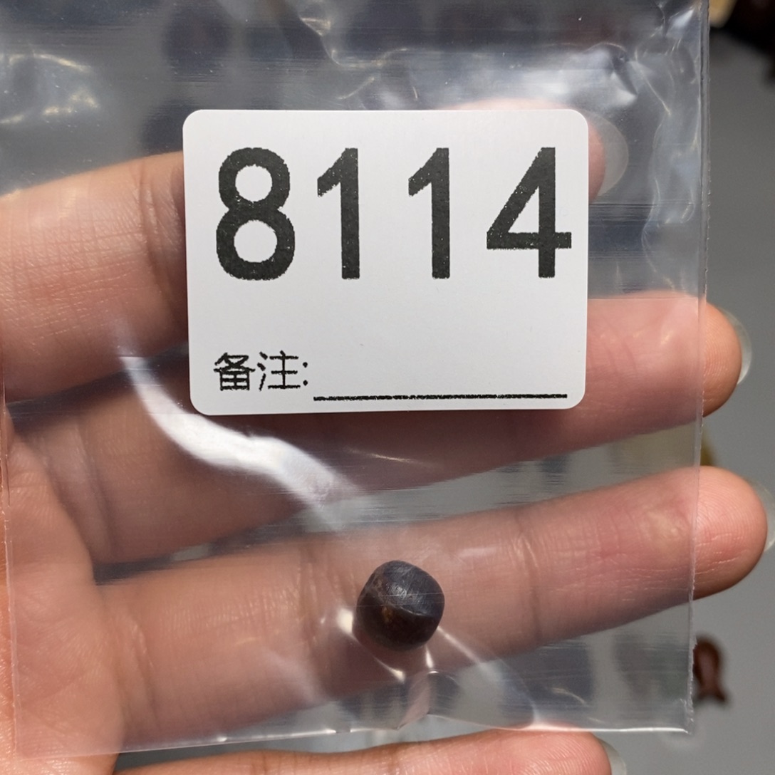 颈饰未镶嵌透闪石质玉简*