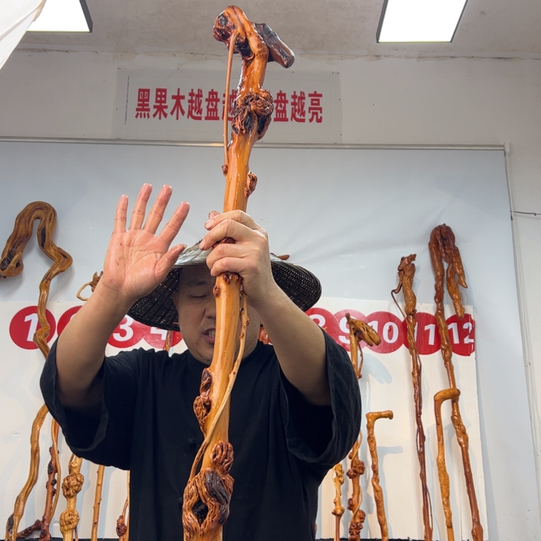 黑果木其他黑果木469