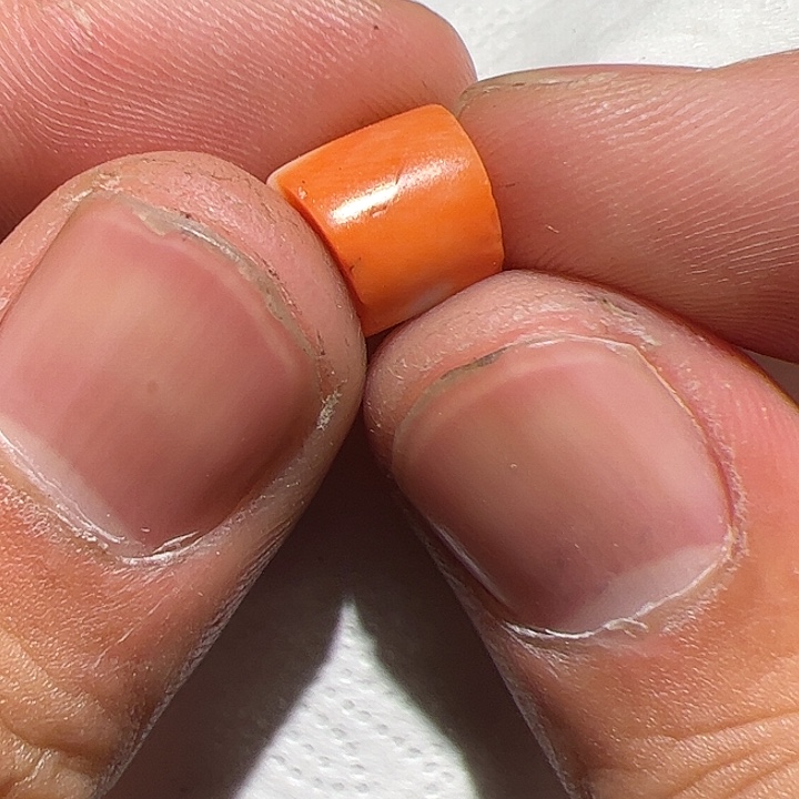 香榧木在这里的人