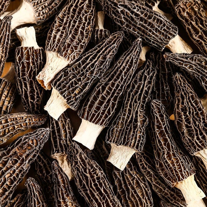 2025新货头茬厚肉羊肚菌破碎姑