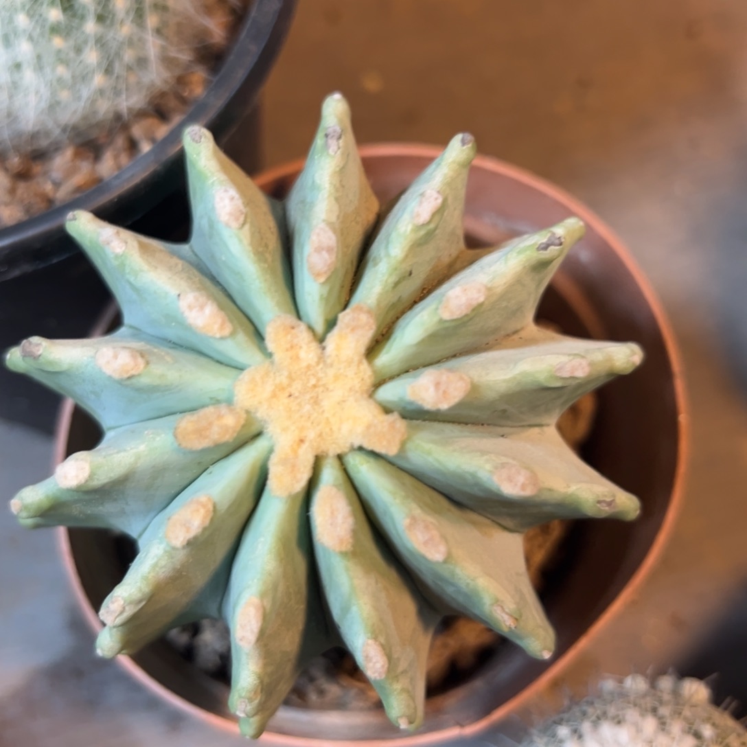 渔***哈哈哈哈哈哈哈哈哈哈哈