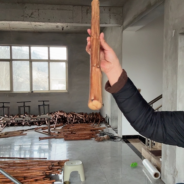 鸟***秦岭石山铁甲车载54