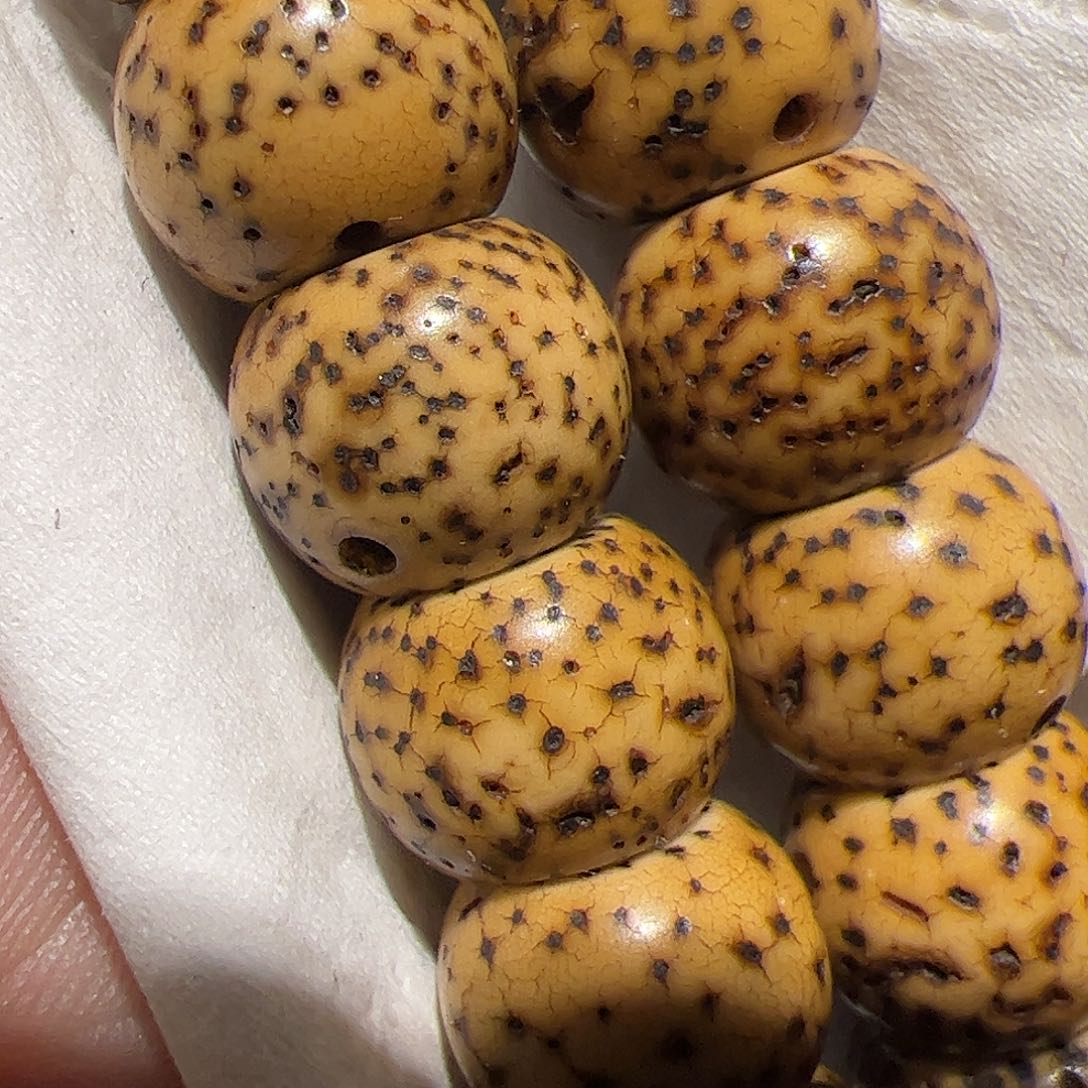 香榧木在家了一个人