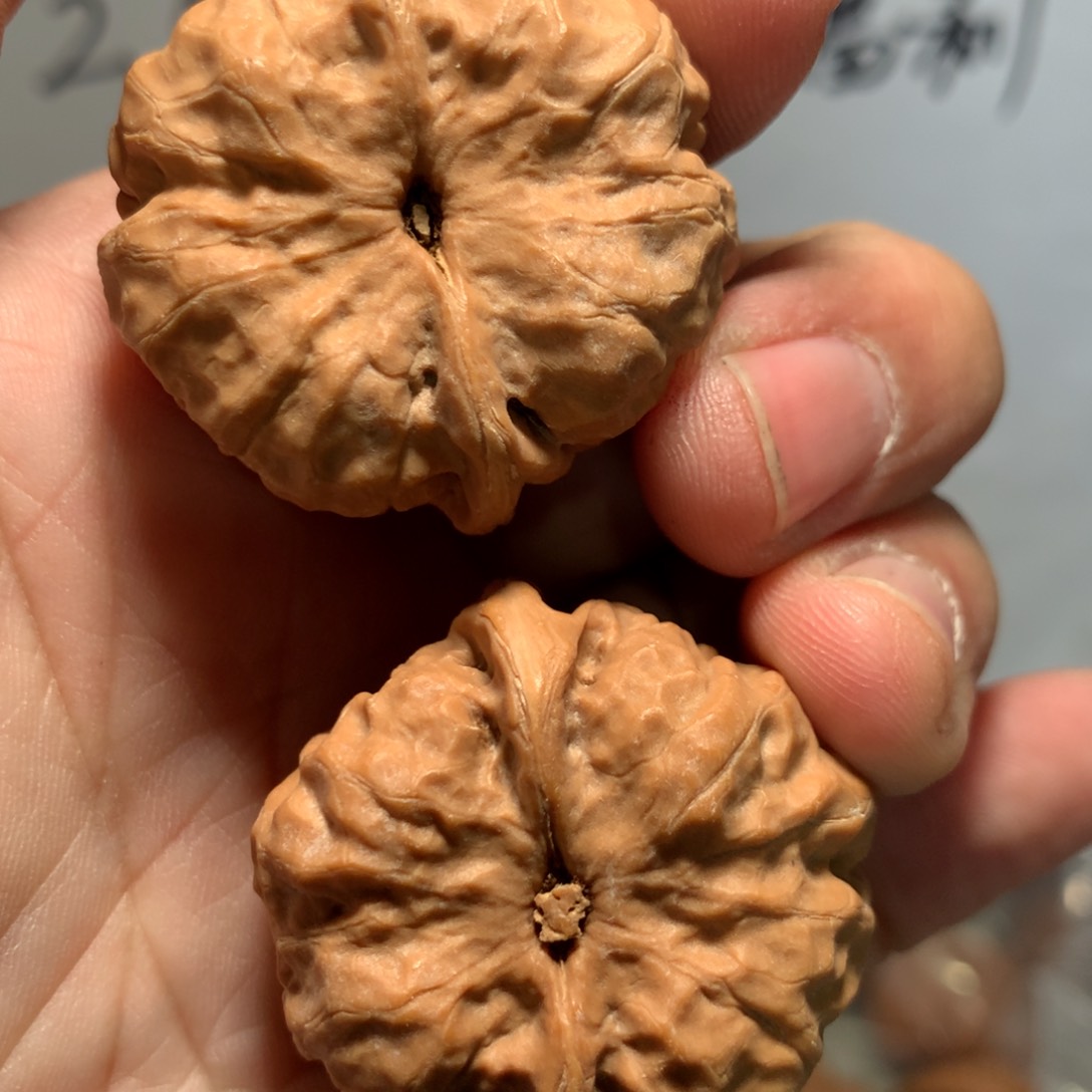 文玩核桃把件㊖财哥专拍蛤蟆头