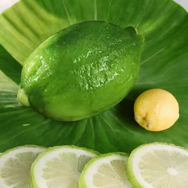 【只发新疆】广东香水柠檬饮品店酒吧商用专用乌市九鼎直发