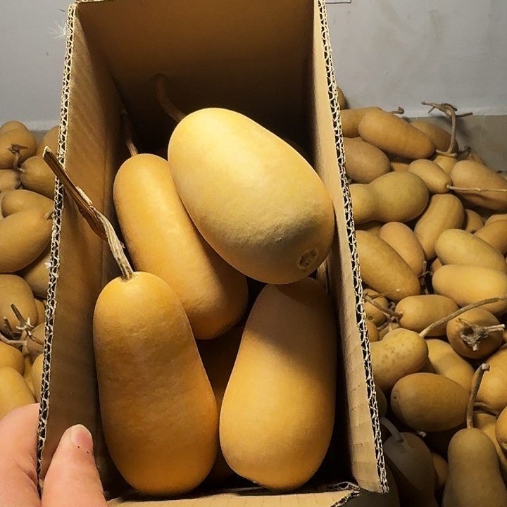 志***亮葫芦冬瓜专属链接