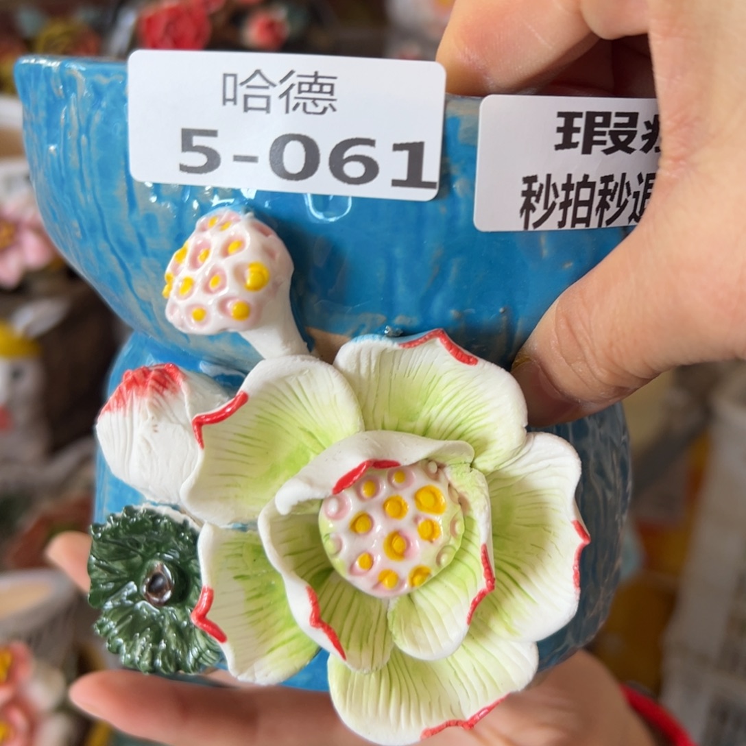 瑕疵561 花盆，满20发货，爱退拉黑