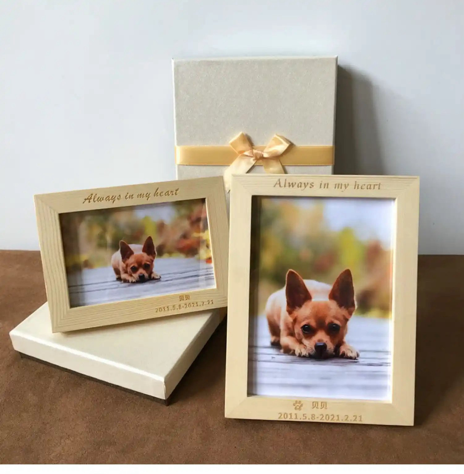 宠物相册私人订制