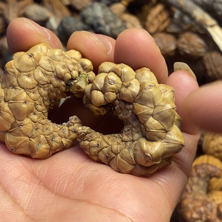 文玩核桃吊坠东北特产212