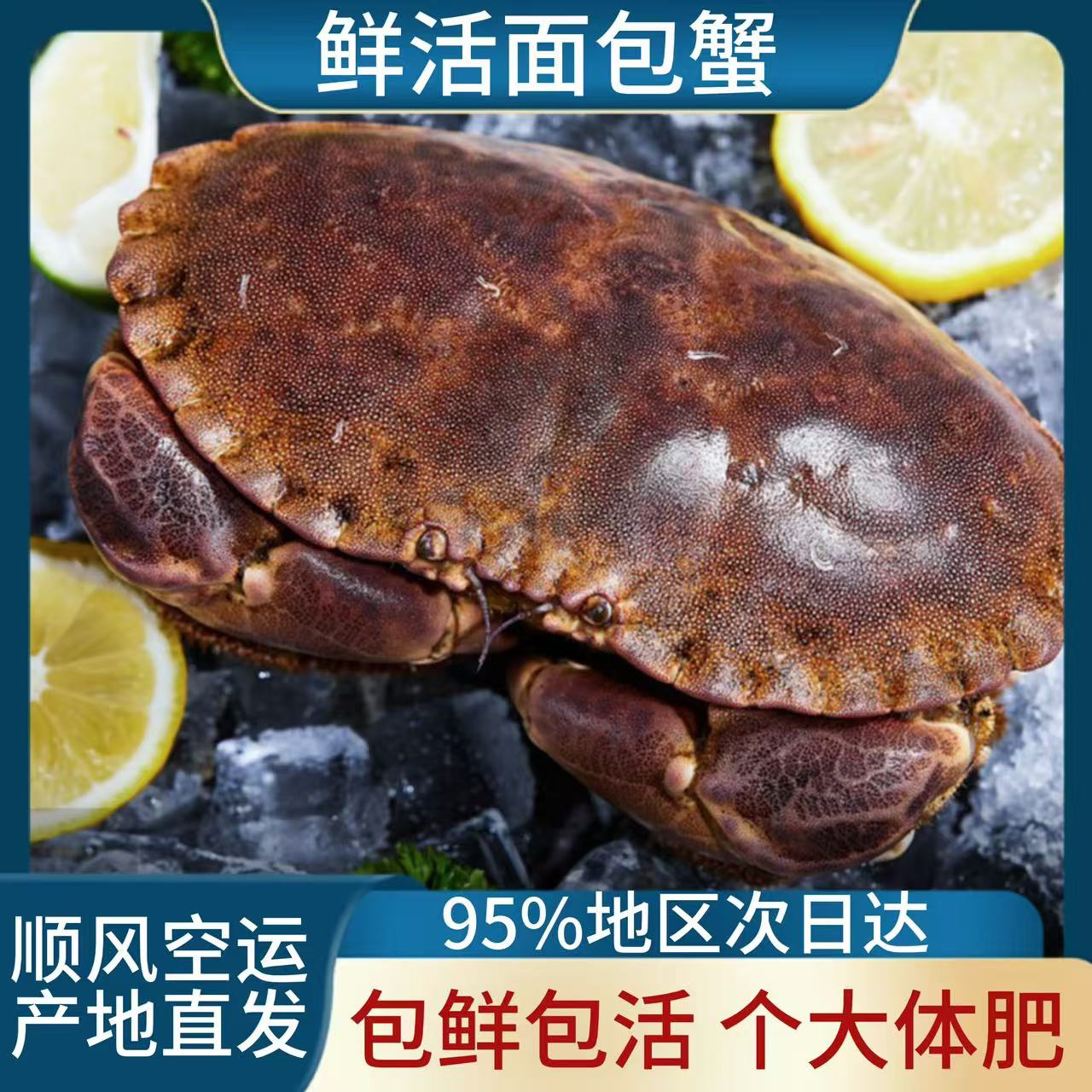 【充氧活发】  鲜活爱尔兰面包蟹黄金蟹  直播现称改价 默认缺水5%