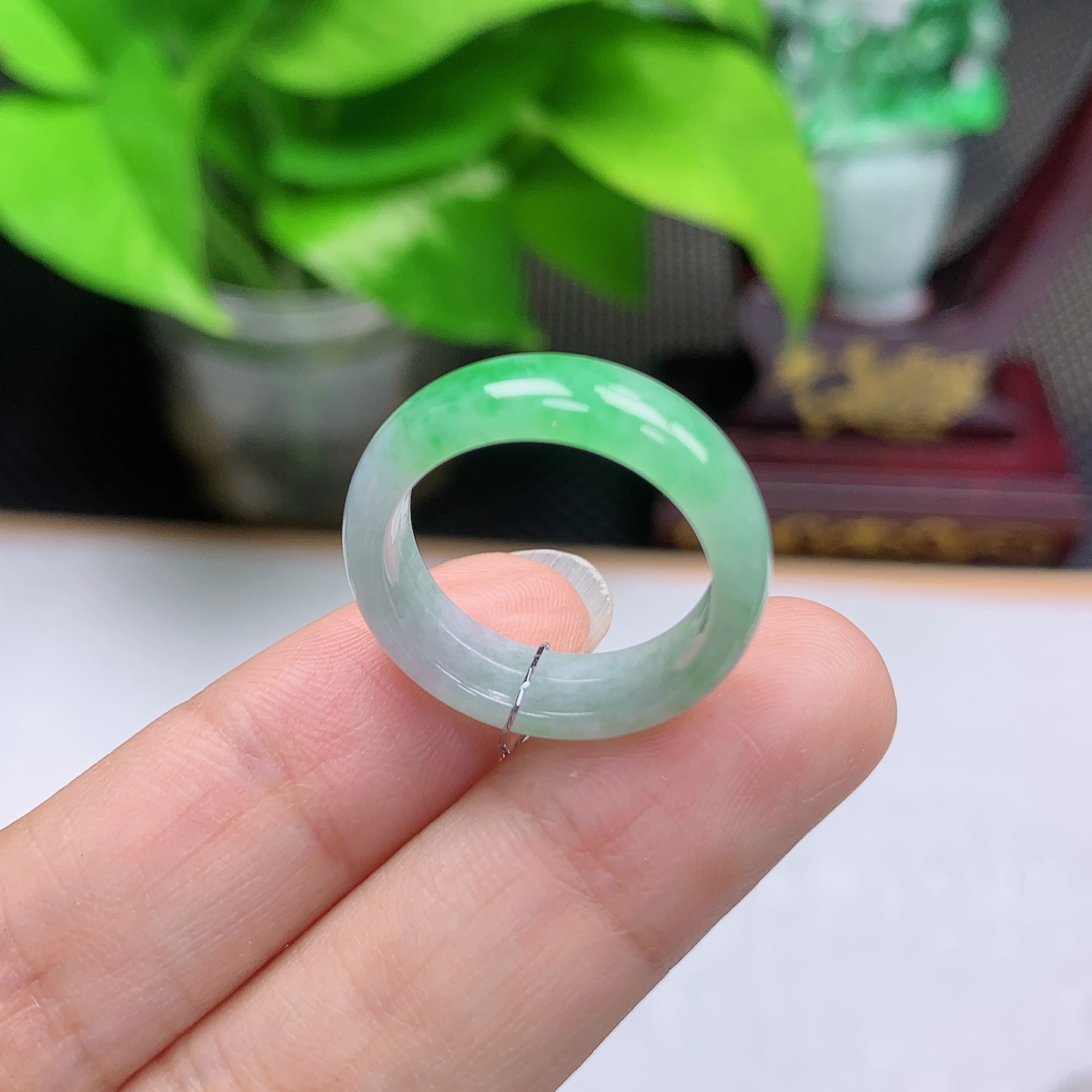 A00244缅甸翡翠A货白底青飘阳绿16圈内径17.6mm