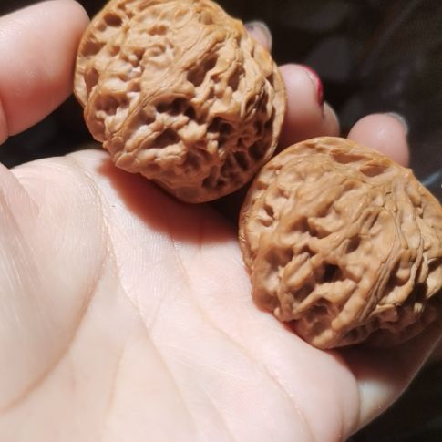 猴头核桃吊坠42苹果