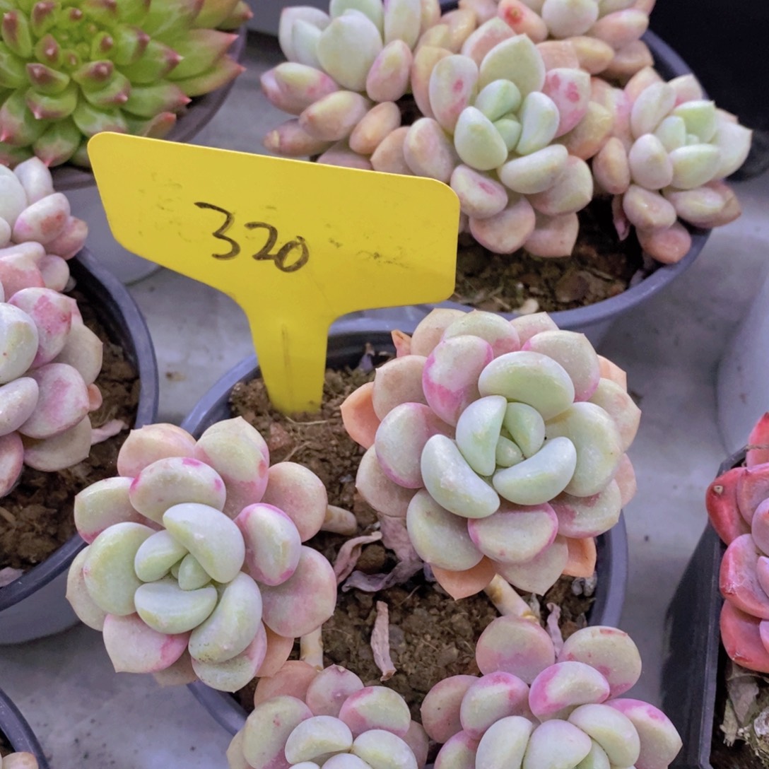 清货专场，满5宋1了