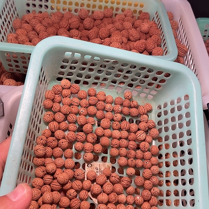 钟***.桃核吊坠1.2尺30粒