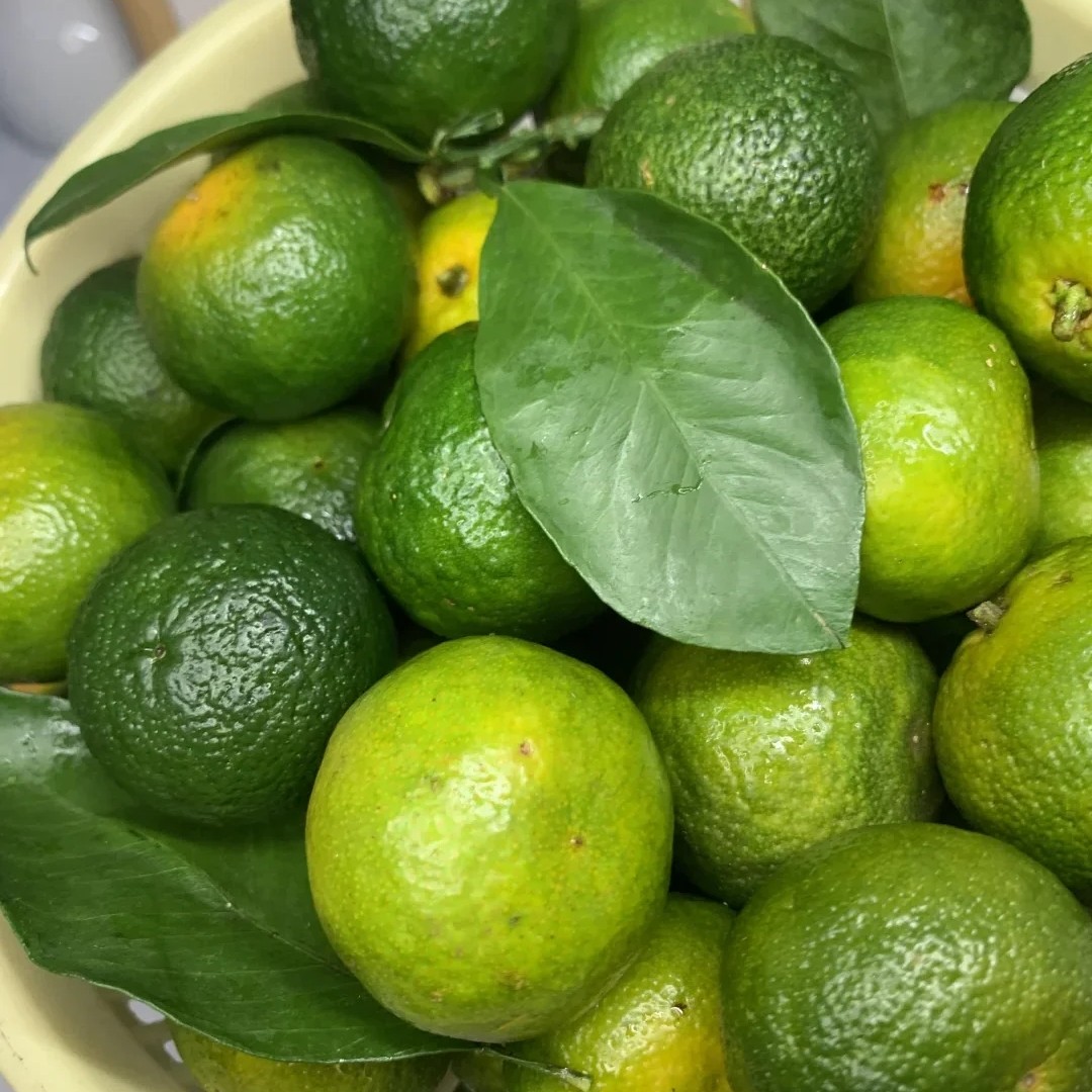 果切【好吃不上火】清香橘500g纯甜不酸广西新鲜小橘子