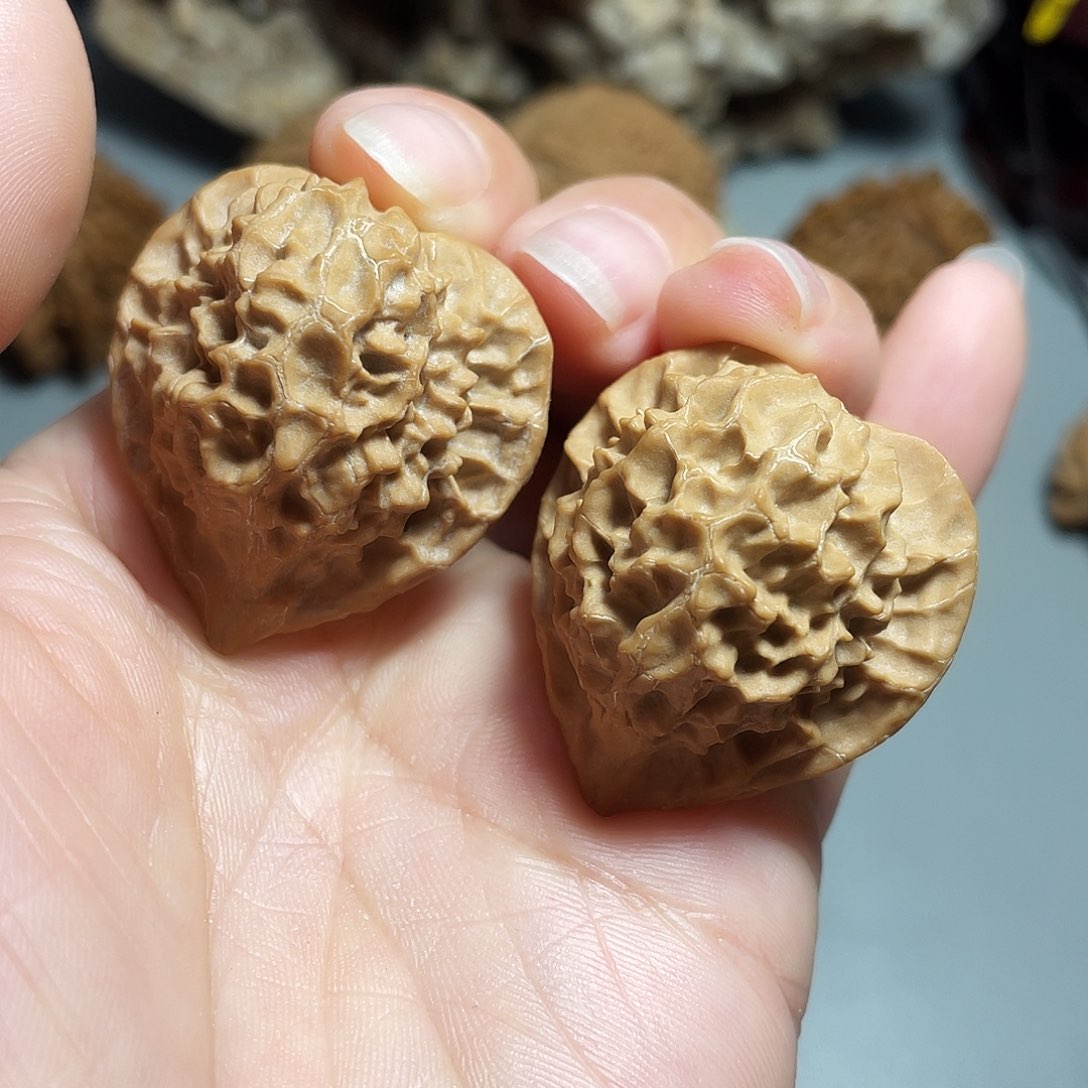 核桃手串/手链精品珊瑚天32加