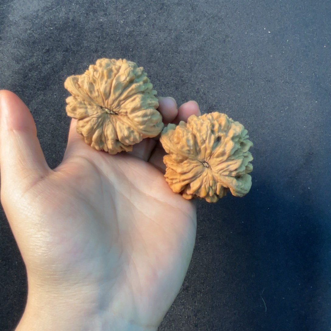 文玩核桃把件56龙鼎全品