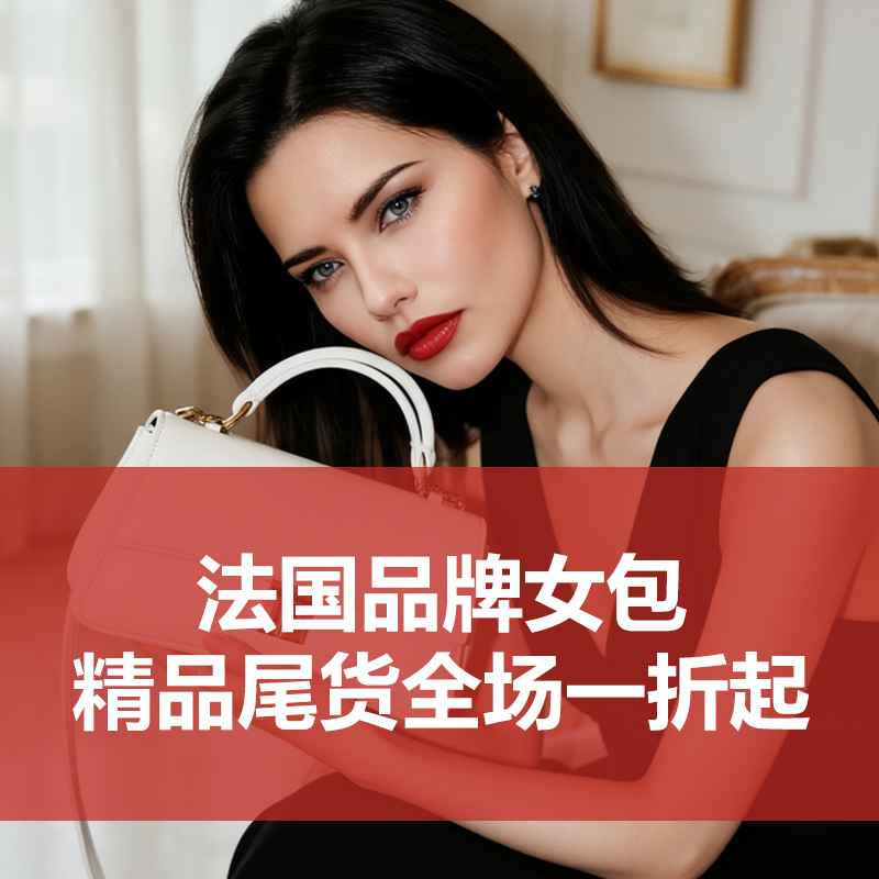 皮尔卡丹轻奢百搭法式设计师款时尚女包 (6号）
