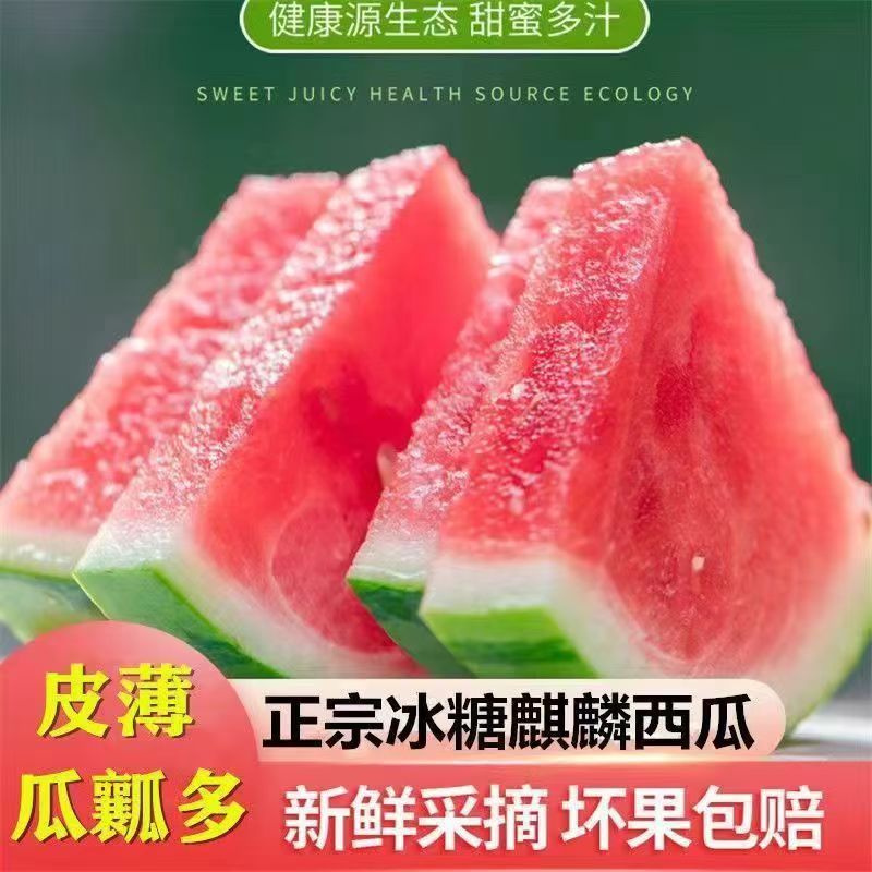 【坏瓜包赔】小正宗麒麟西瓜现摘应季薄皮有籽麒麟瓜水果新鲜西瓜