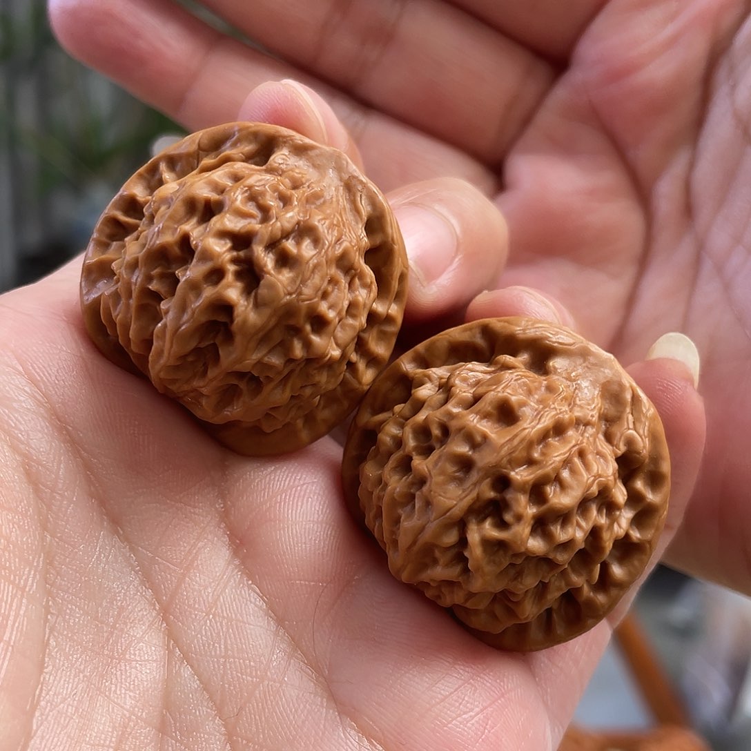 桃核把件34×33尺秦公子CN000000已打底